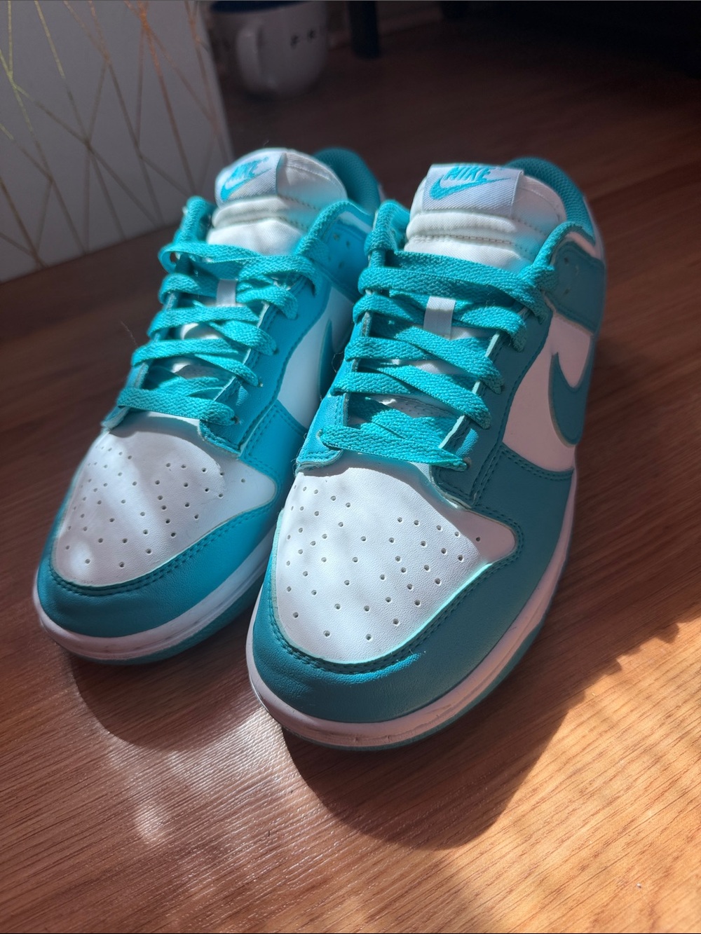 Nike Dunk Teal & White Sneakers